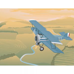 SG2408 illustration biplane flying rural landscape
