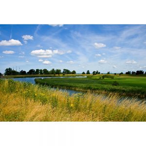 SG2413 landscape dutch netherlands meadow holland