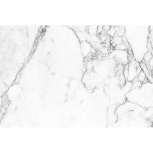 SG2555 white marble texture pattern