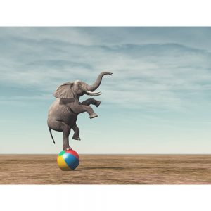 SG2557 surreal elephant balancing beach ball