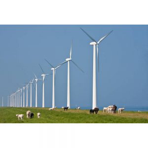 SG2560 windmill dutch holland sheep wind power