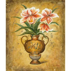 SG310 pot plant flowers floral orange texture