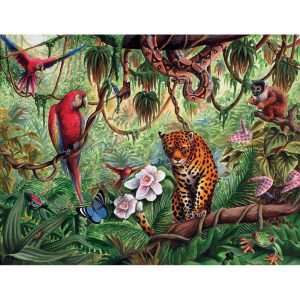 SG480 jungle leopard parrot monkey butterflies nature snake birds frog animals