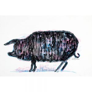 SG664 contemporary abstract pig piglet farm animals