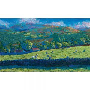 SG706 landscapes countryside fields hills sheep animals
