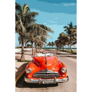 TM1390 automotive cuban cars palms