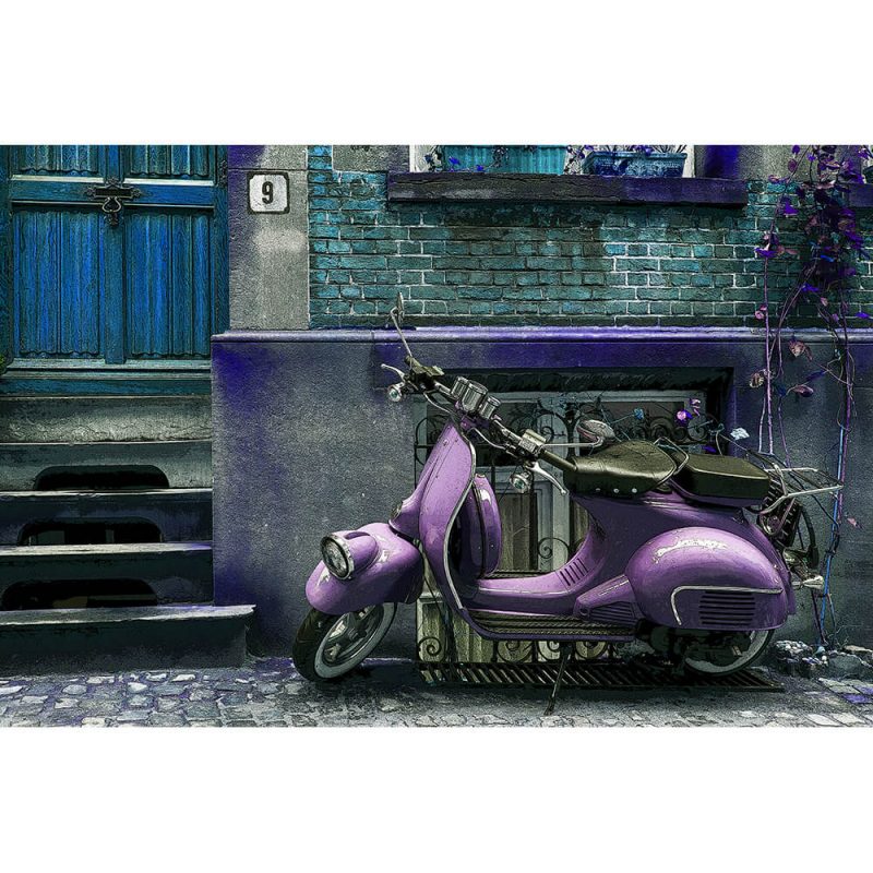 TM1472 automotive scooters street purple
