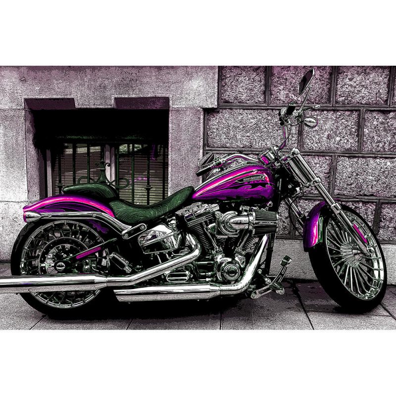 TM1503 automotive motorcycles purple