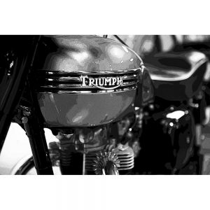 TM1534 automotive motorcycles triumph mono