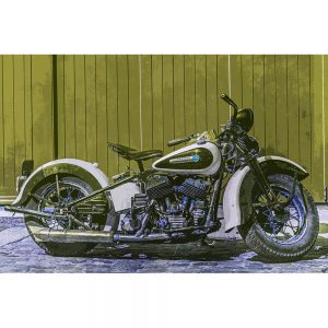 TM1550 automotive motorcycles harley classic green