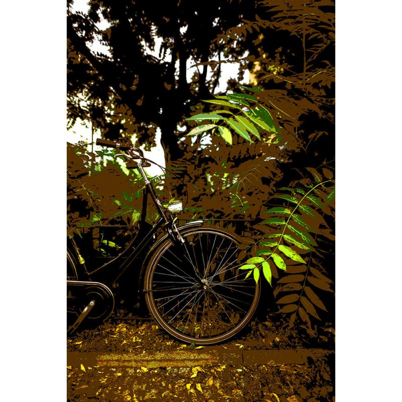 TM1552 bicycles classic brown