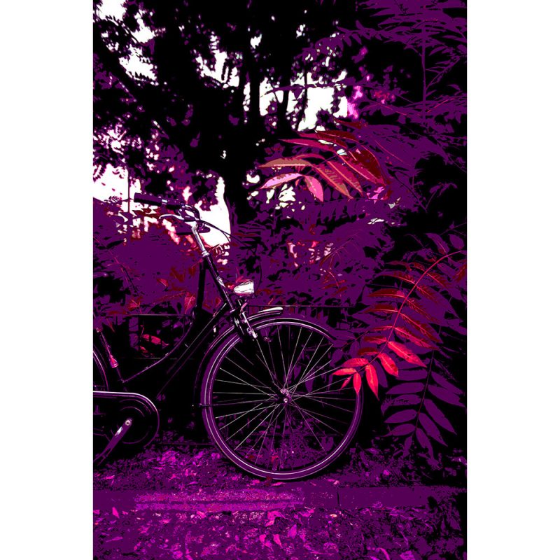 TM1553 bicycles classic purple