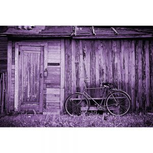 TM1559 bicycles classic shack lilac