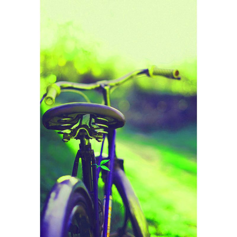 TM1567 bicycles clasasic saddle green