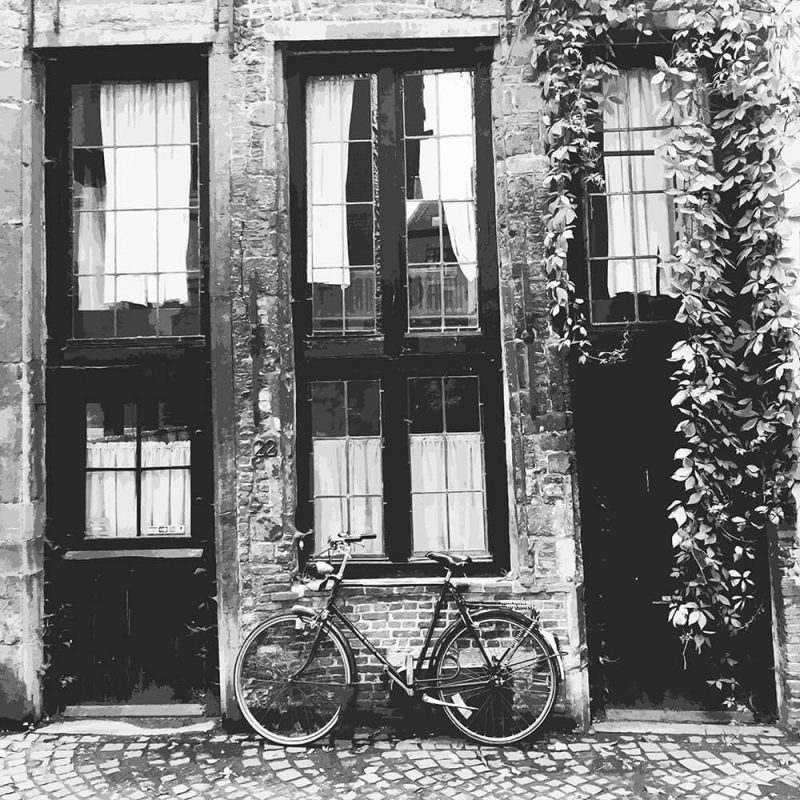 TM1570 bicycles retro house mono