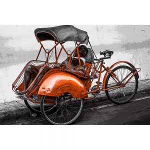 TM1582 bicycles rickshaw orange