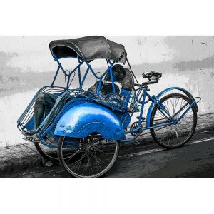 TM1583 bicycles rickshaw blue