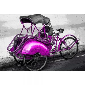 TM1584 bicycles rickshaw pink
