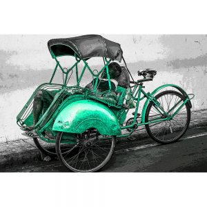 TM1585 bicycles rickshaw green