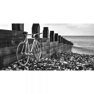TM1587 bicycles retro beach mono