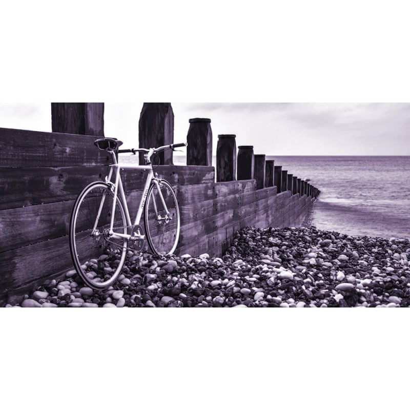 TM1588 bicycles retro beach lilac