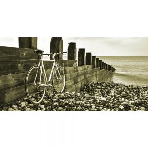 TM1589 bicycles retro beach sepia