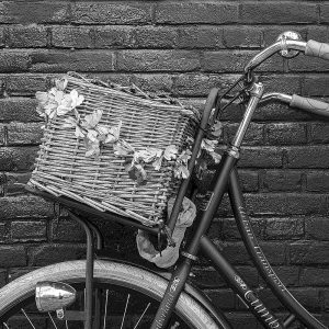 TM1600 bicycles retro basket mono