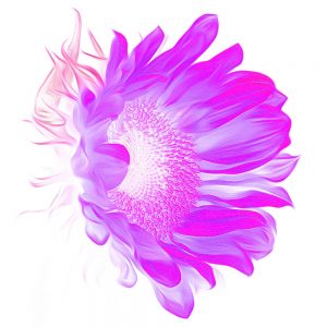 TM1678 pink flower inverted