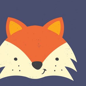 TM1790 cute fox orange