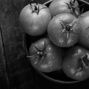 TM1868 tomatoes in bowl mono