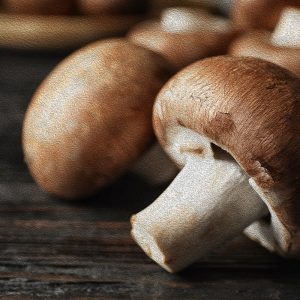 TM1869 mushrooms on wood background