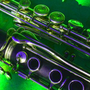 TM1905 clarinet flute green