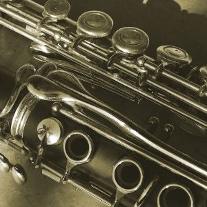 TM1906 clarinet flute sepia
