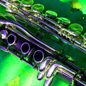 TM1907 clarinet flute green