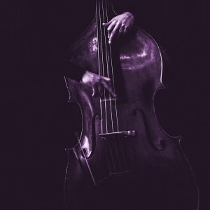 TM1948 double bass player violet