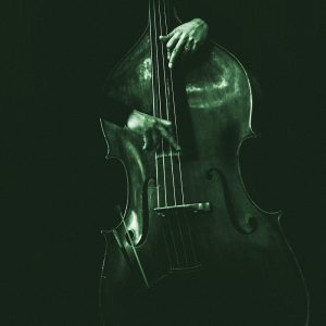TM1950 double bass player green