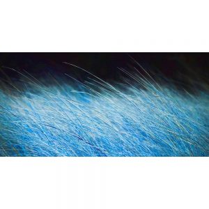 TM1996 grass field blue