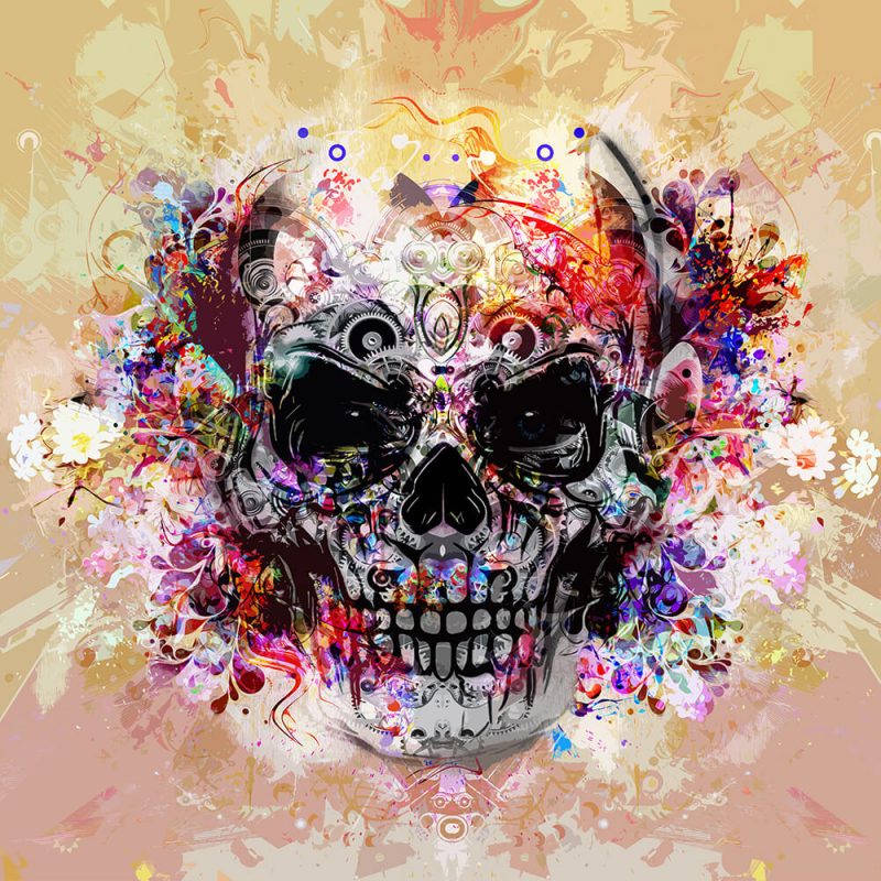 TM2009 skull graphic grunge art