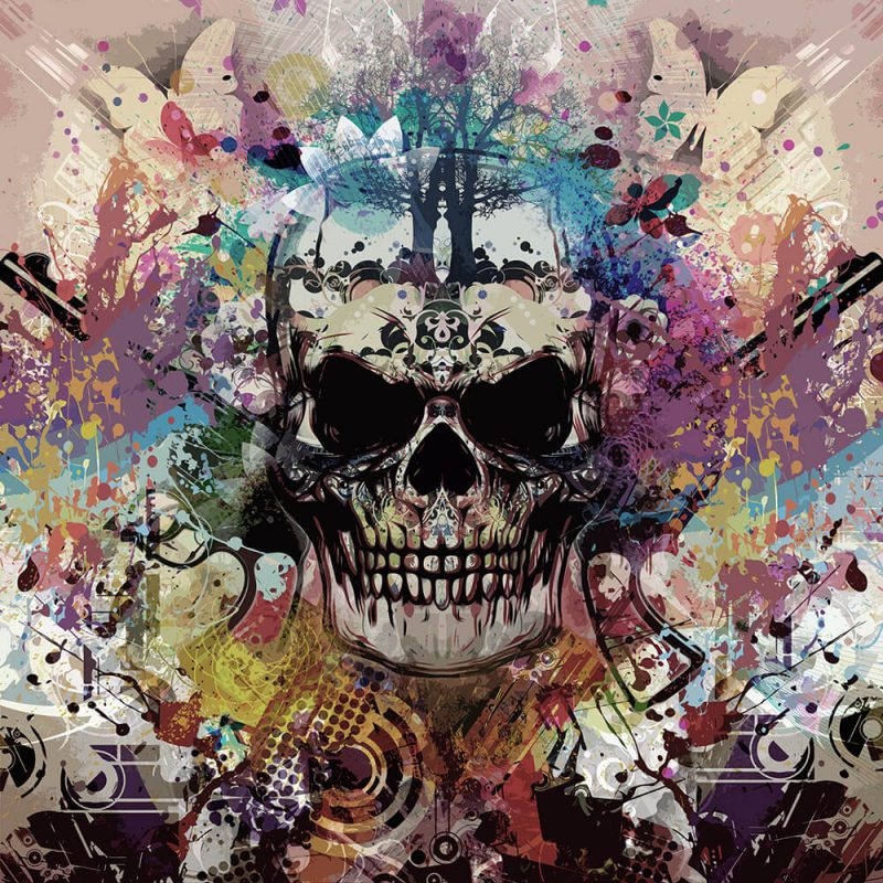 TM2011 skull graphic grunge art