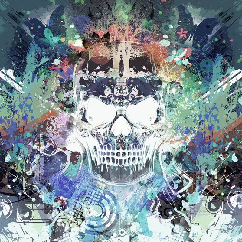 TM2012 skull graphic grunge art