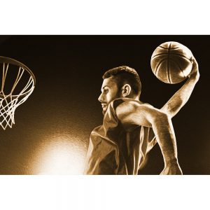 TM2158 basketball player brown