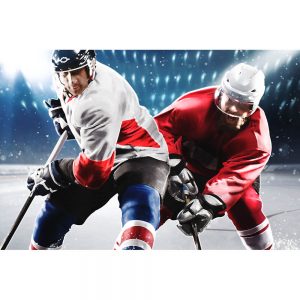 TM2197 ice hockey players