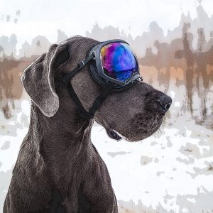 TM2199 dog goggles winter