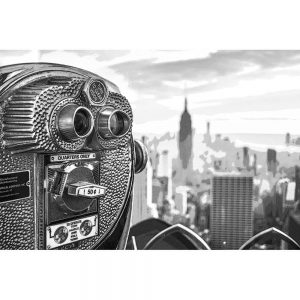 TM2215 viewfinder new york skyline mono
