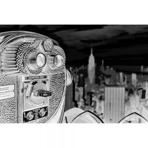 TM2216 viewfinder new york skyline mono invert