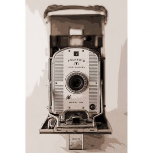 TM2227 retro polaroid land camera sepia
