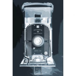 TM2228 retro polaroid land camera sepia invert