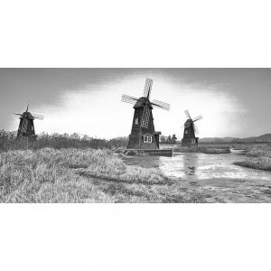 TM2260 windmills rushes water hills mono