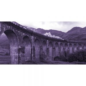 TM2269 train viaduct hills scenic purple