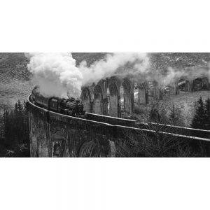 TM2333 steam train over viaduct mono